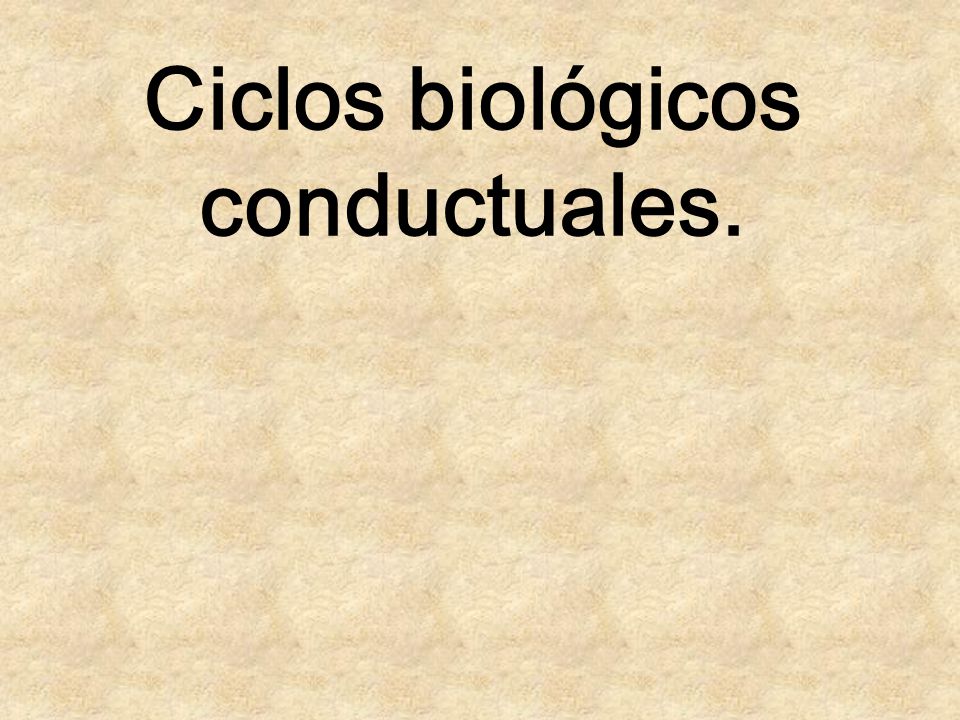 Ciclos biológicos conductuales.