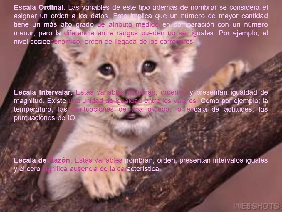 Escala Ordinal: Las variables de este tipo además de nombrar se considera el asignar un orden a los datos. Esto implica que un número de mayor cantidad tiene un más alto grado de atributo medido en comparación con un número menor, pero la diferencia entre rangos pueden no ser iguales. Por ejemplo; el nivel socioeconómico, orden de llegada de los corredores.