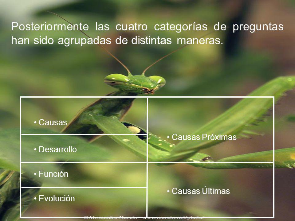 Posteriormente las cuatro categorías de preguntas han sido agrupadas de distintas maneras.