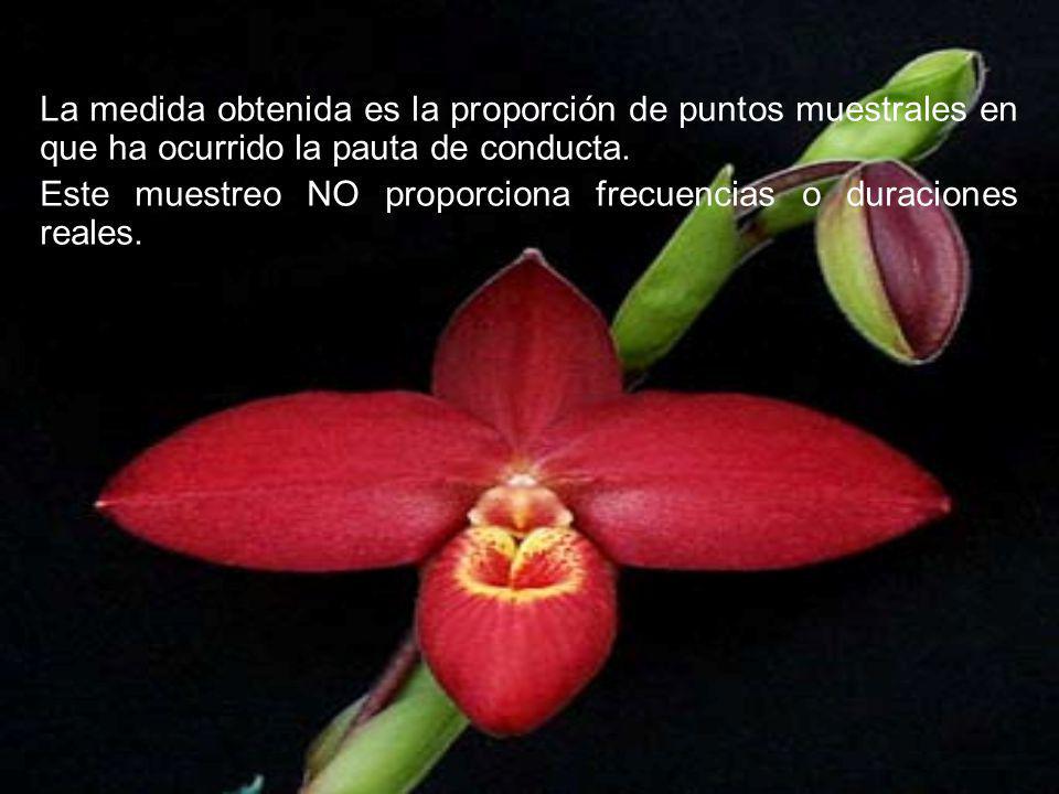 La medida obtenida es la proporción de puntos muestrales en que ha ocurrido la pauta de conducta.