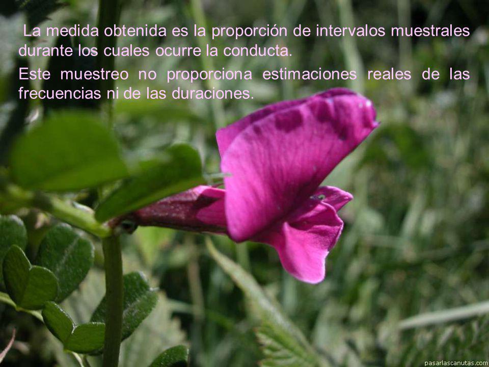 La medida obtenida es la proporción de intervalos muestrales durante los cuales ocurre la conducta.