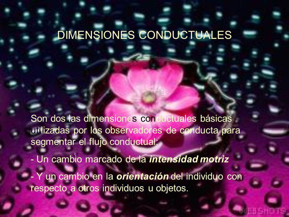 DIMENSIONES CONDUCTUALES