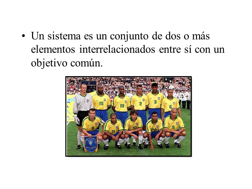 Un sistema es un conjunto de dos o más elementos interrelacionados entre sí con un objetivo común.