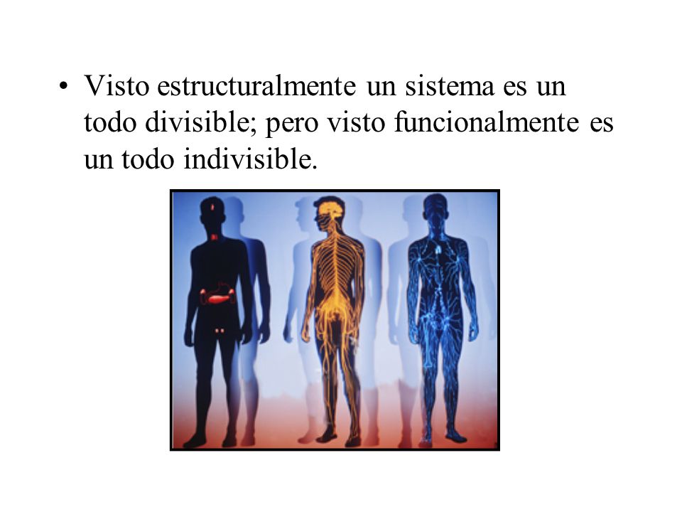 Visto estructuralmente un sistema es un todo divisible; pero visto funcionalmente es un todo indivisible.