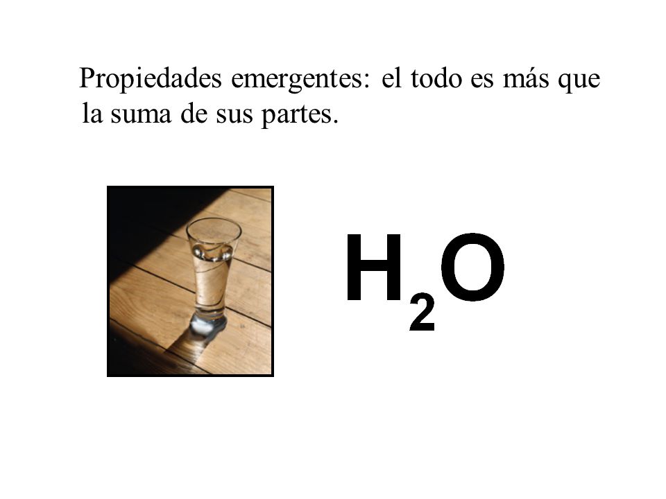 Propiedades emergentes: el todo es más que la suma de sus partes.