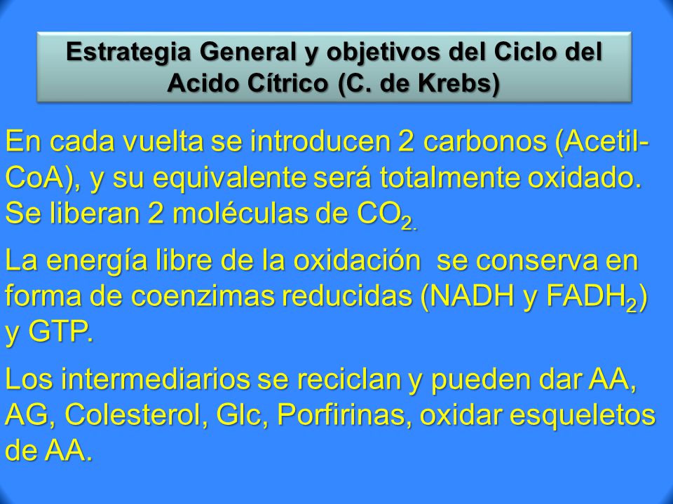 Estrategia General y objetivos del Ciclo del Acido Cítrico (C
