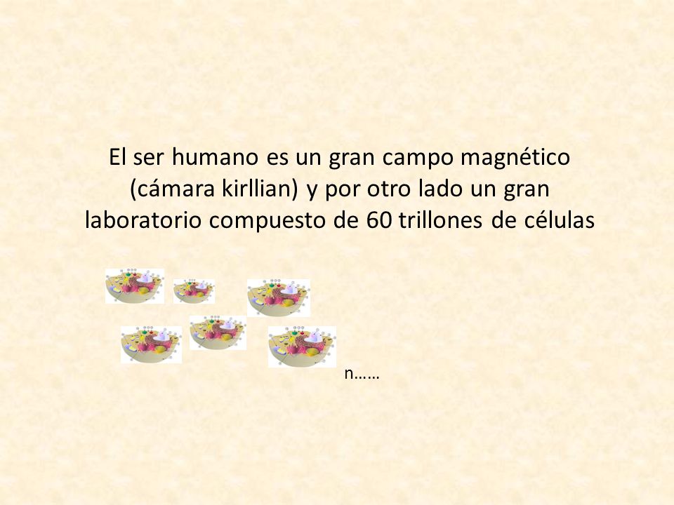 El ser humano es un gran campo magnético (cámara kirllian) y por otro lado un gran laboratorio compuesto de 60 trillones de células