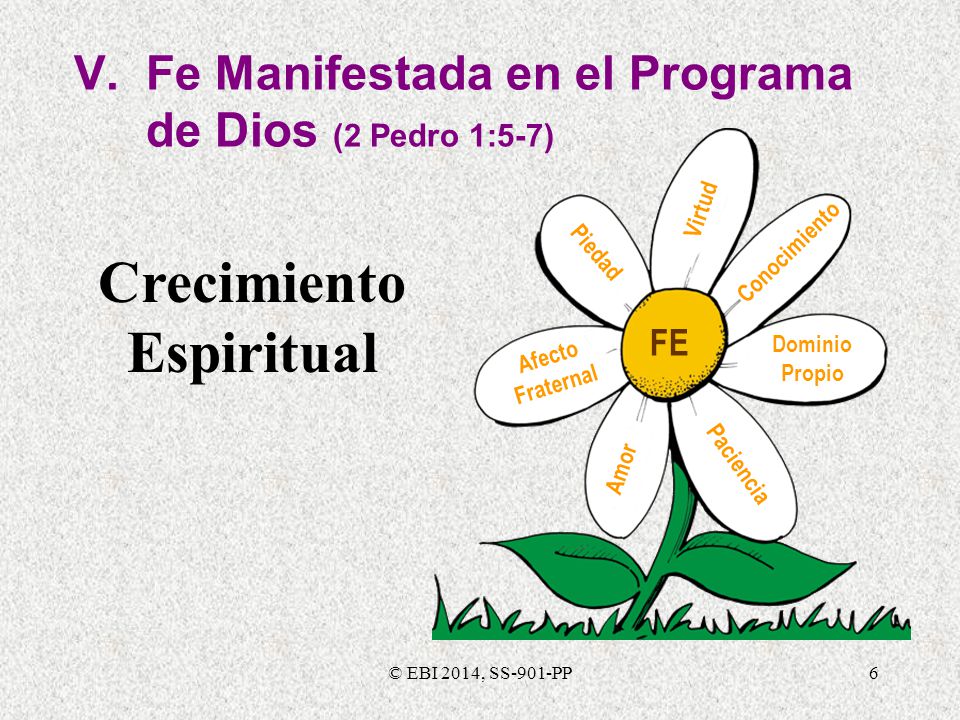 V. Fe Manifestada en el Programa de Dios (2 Pedro 1:5-7)