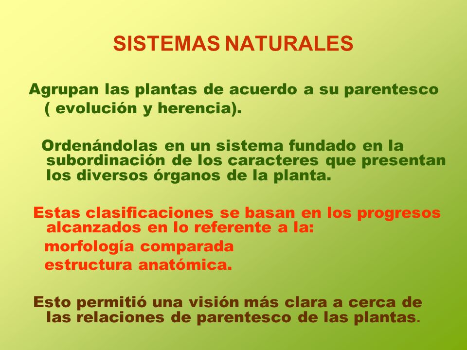 SISTEMAS NATURALES Agrupan las plantas de acuerdo a su parentesco