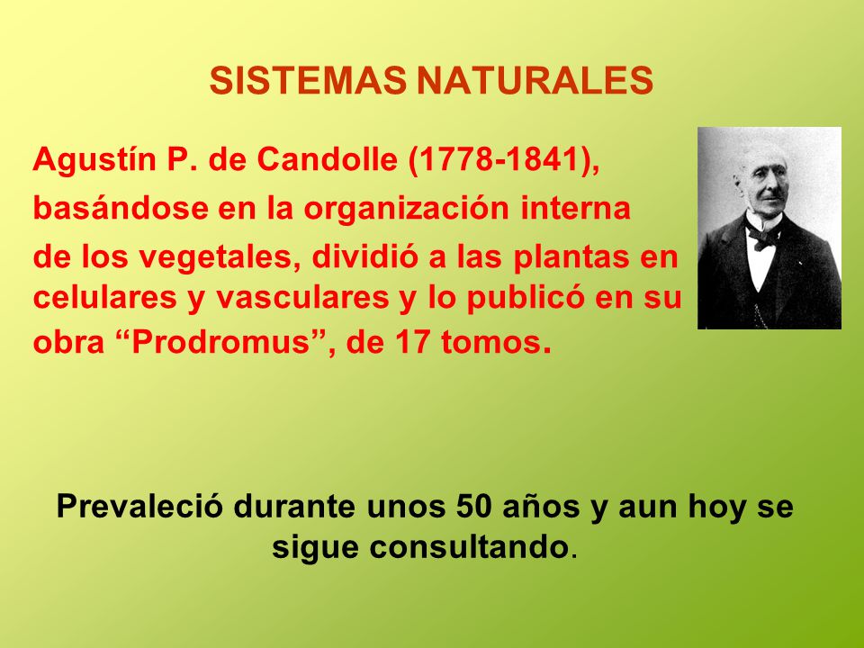 Prevaleció durante unos 50 años y aun hoy se sigue consultando.
