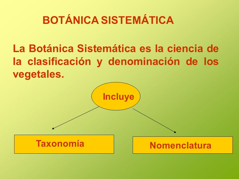 BOTÁNICA SISTEMÁTICA La Botánica Sistemática es la ciencia de la clasificación y denominación de los vegetales.