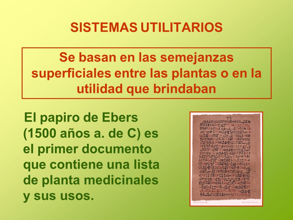 SISTEMAS UTILITARIOS Se basan en las semejanzas superficiales entre las plantas o en la utilidad que brindaban.