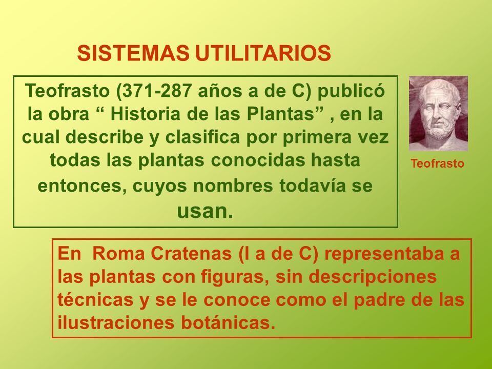 SISTEMAS UTILITARIOS