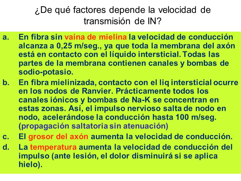 ¿De qué factores depende la velocidad de transmisión de IN