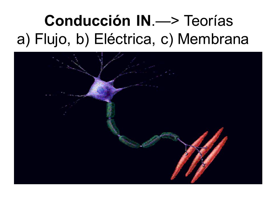 Conducción IN.—> Teorías a) Flujo, b) Eléctrica, c) Membrana