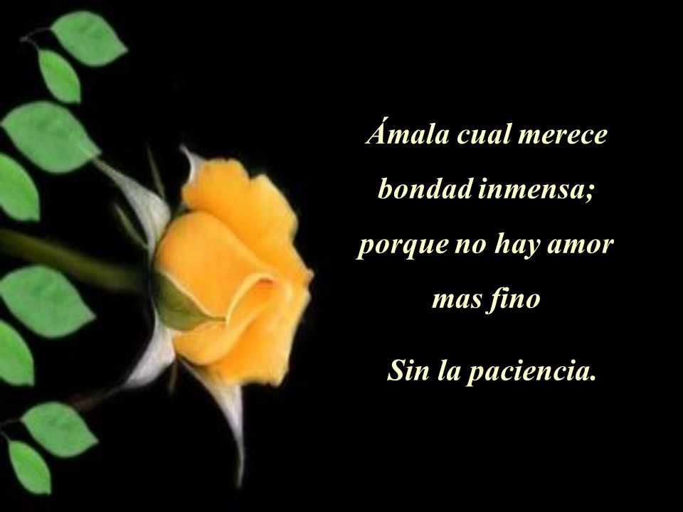 Ámala cual merece bondad inmensa; porque no hay amor mas fino Sin la paciencia.