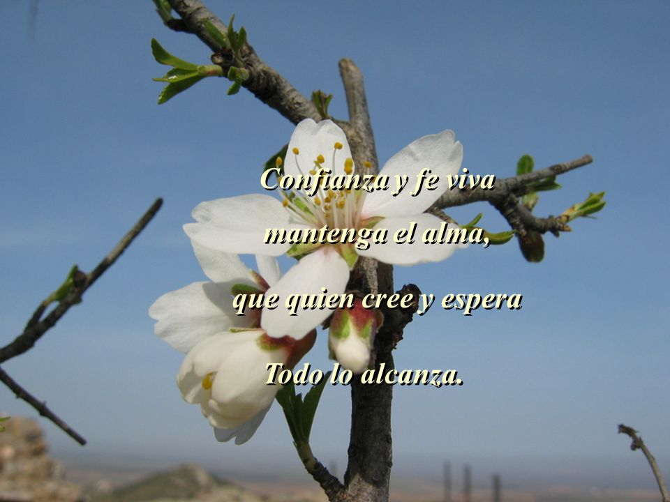 Confianza y fe viva mantenga el alma, que quien cree y espera Todo lo alcanza.