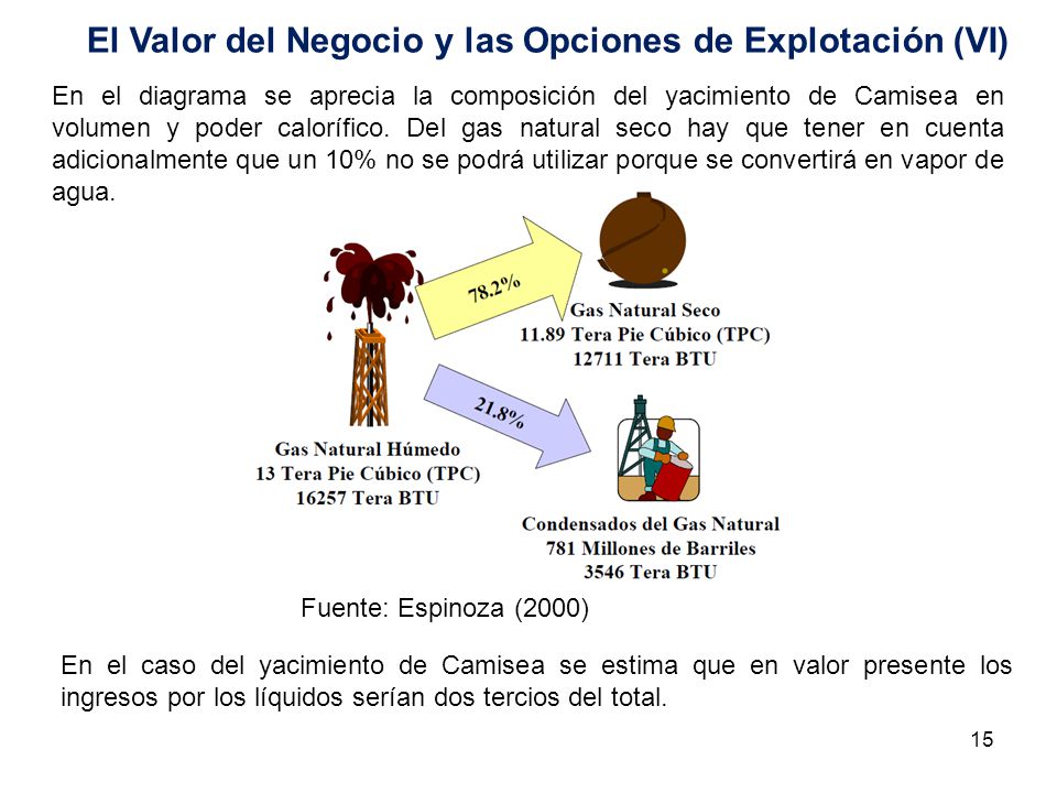 El Valor del Negocio y las Opciones de Explotación (VI)