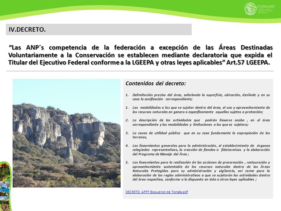 IV.DECRETO.