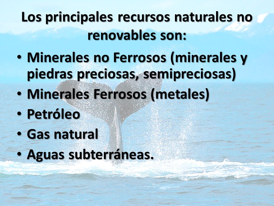 Los principales recursos naturales no renovables son: