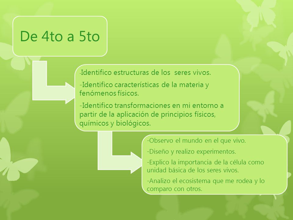 De 4to a 5to -Identifico estructuras de los seres vivos. -Identifico características de la materia y fenómenos físicos.