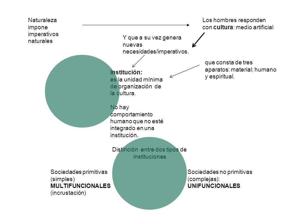 Distinción entre dos tipos de instituciones