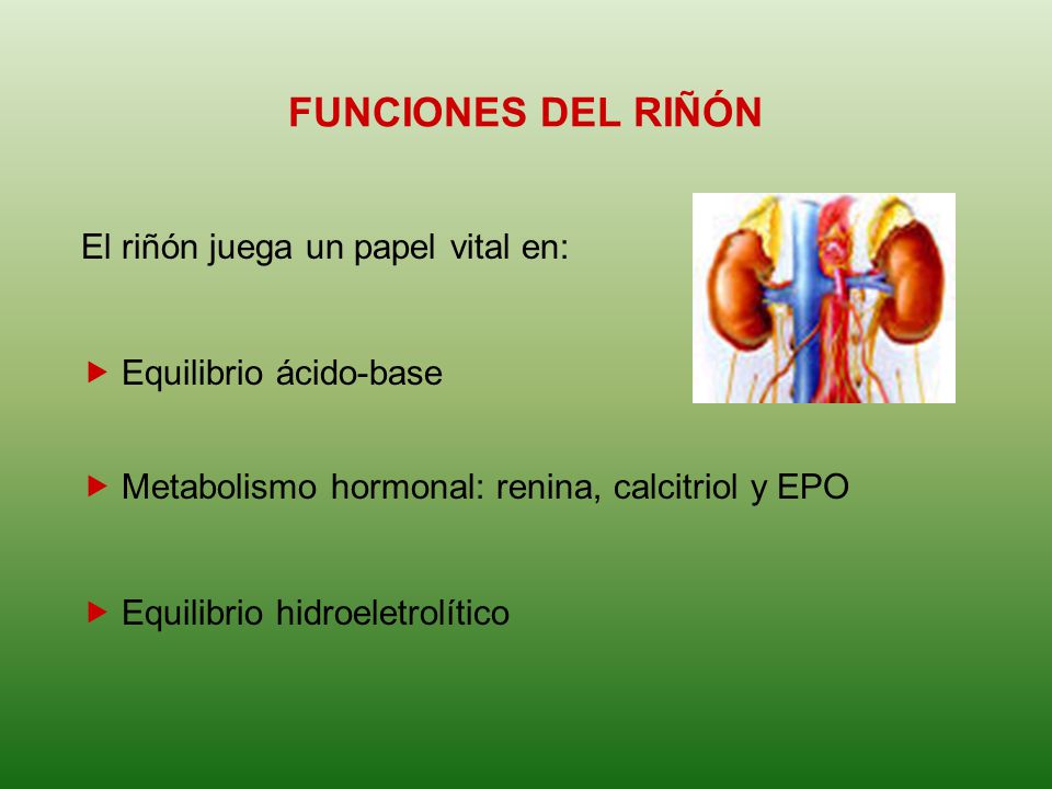 FUNCIONES DEL RIÑÓN El riñón juega un papel vital en: