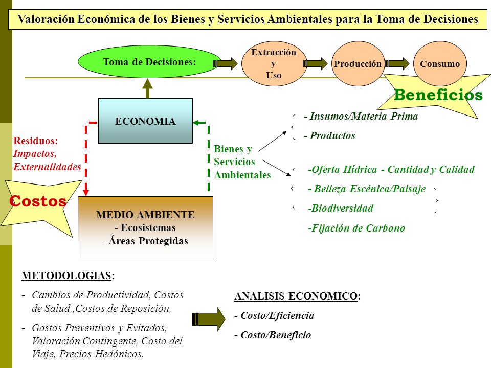 Valoración Económica de los Bienes y Servicios Ambientales para la Toma de Decisiones