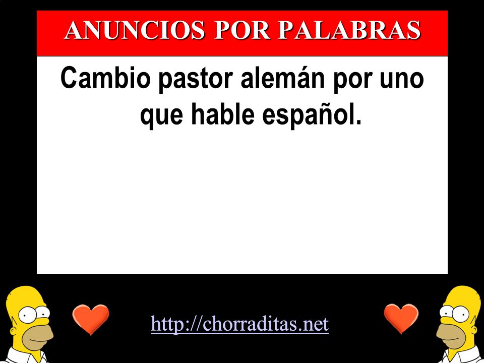 Cambio pastor alemán por uno que hable español.