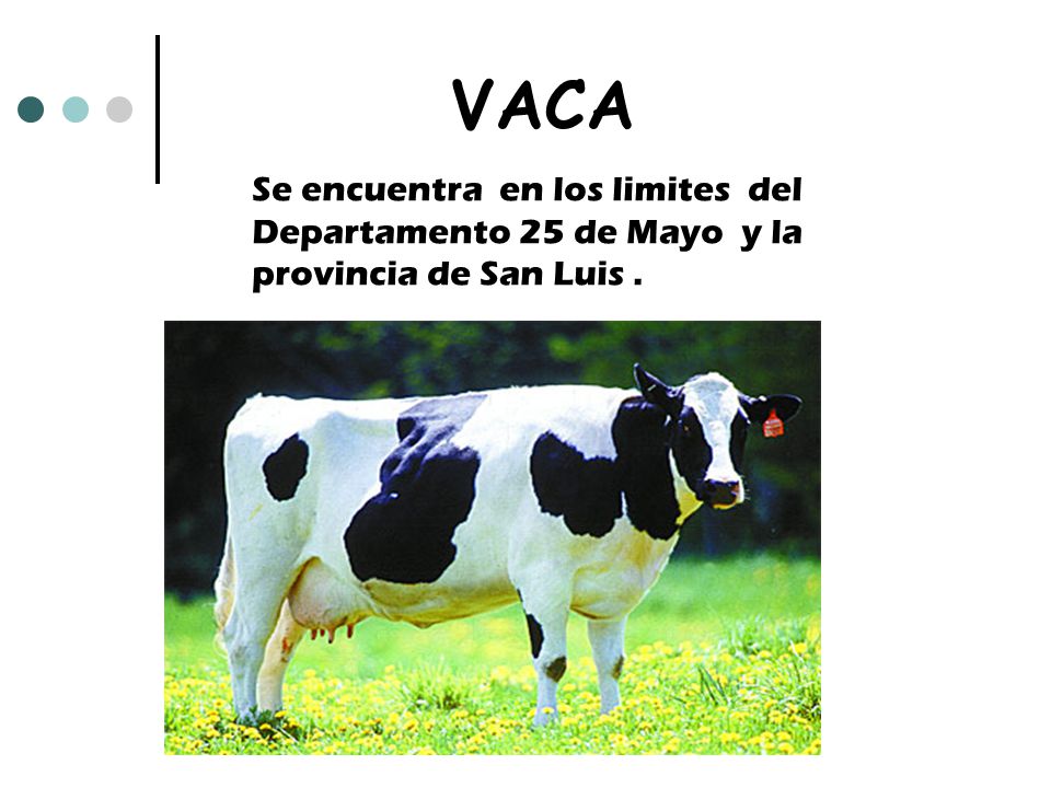 VACA Se encuentra en los limites del Departamento 25 de Mayo y la provincia de San Luis .