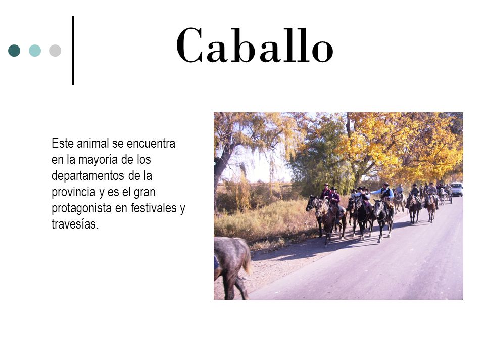 Caballo Este animal se encuentra en la mayoría de los departamentos de la provincia y es el gran protagonista en festivales y travesías.