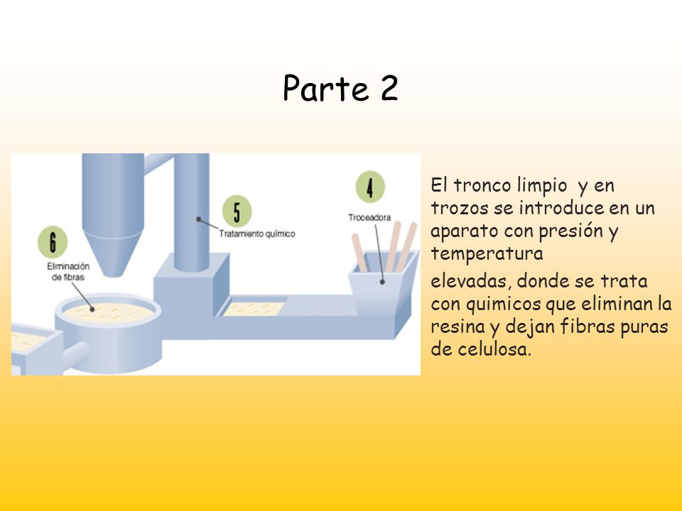 Parte 2 El tronco limpio y en trozos se introduce en un aparato con presión y temperatura.