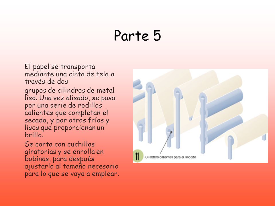 Parte 5 El papel se transporta mediante una cinta de tela a través de dos.