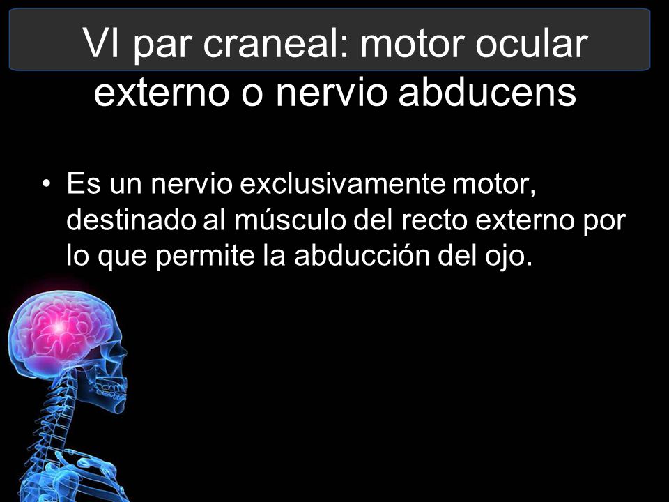 VI par craneal: motor ocular externo o nervio abducens