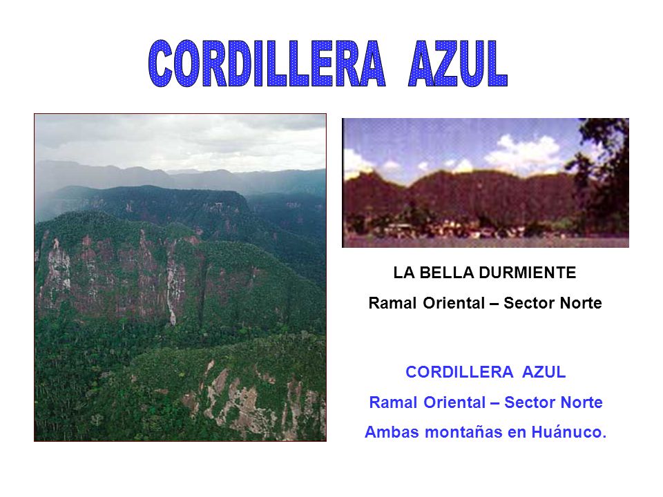 CORDILLERA AZUL LA BELLA DURMIENTE Ramal Oriental – Sector Norte