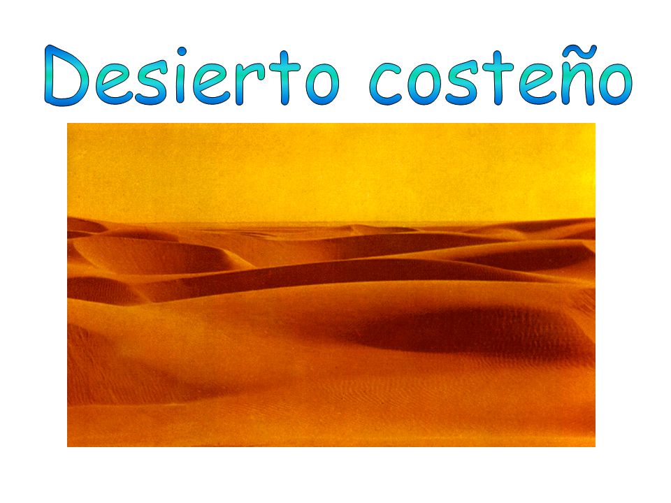 Desierto costeño