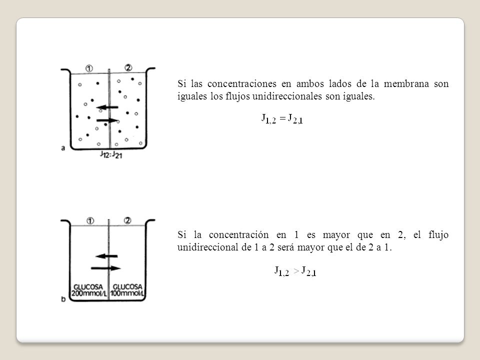 Si las concentraciones en ambos lados de la membrana son iguales los flujos unidireccionales son iguales.