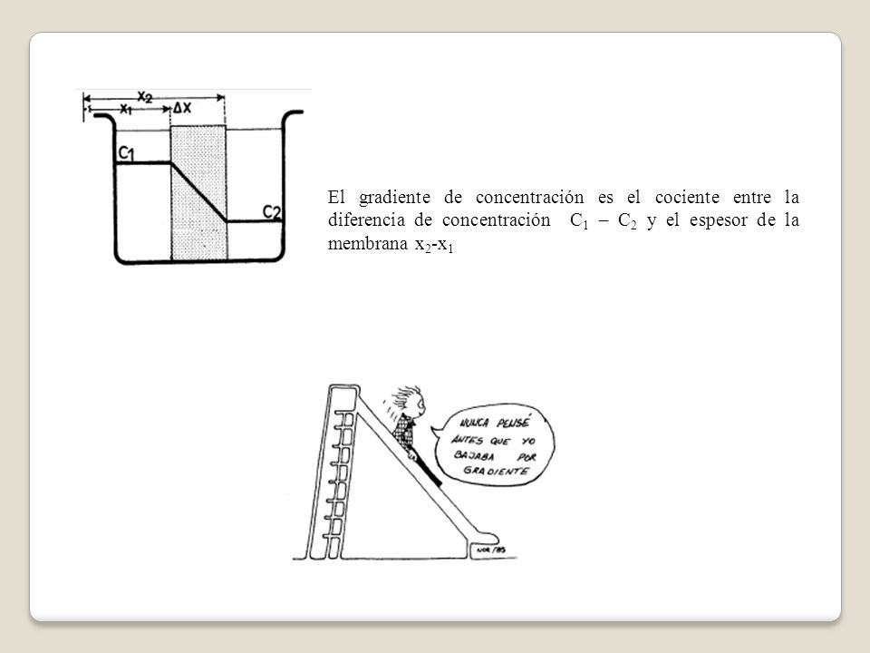 El gradiente de concentración es el cociente entre la diferencia de concentración C1 – C2 y el espesor de la membrana x2-x1