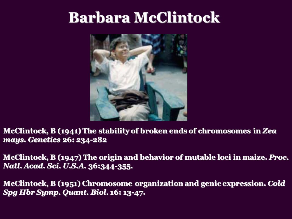 Barbara McClintock McClintock, B (1941) The stability of broken ends of chromosomes in Zea mays. Genetics 26: