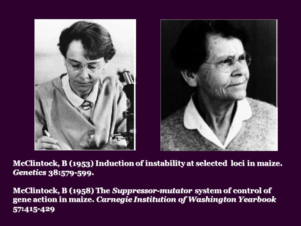McClintock, B (1953) Induction of instability at selected loci in maize. Genetics 38: