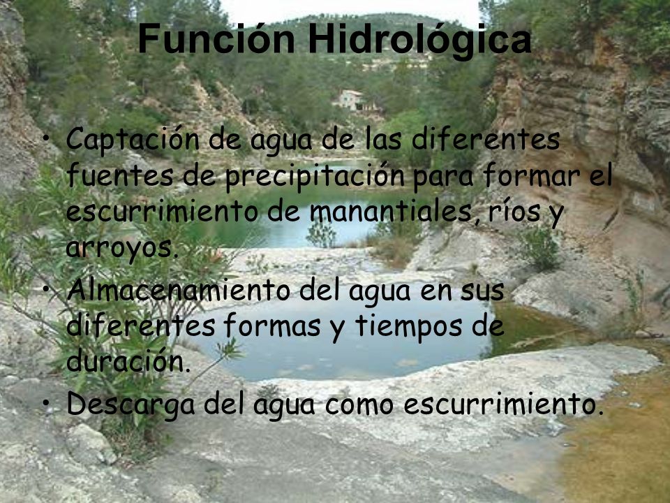 Función Hidrológica Captación de agua de las diferentes fuentes de precipitación para formar el escurrimiento de manantiales, ríos y arroyos.