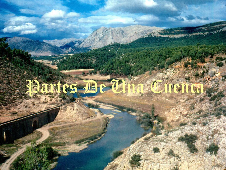 Partes De Una Cuenca