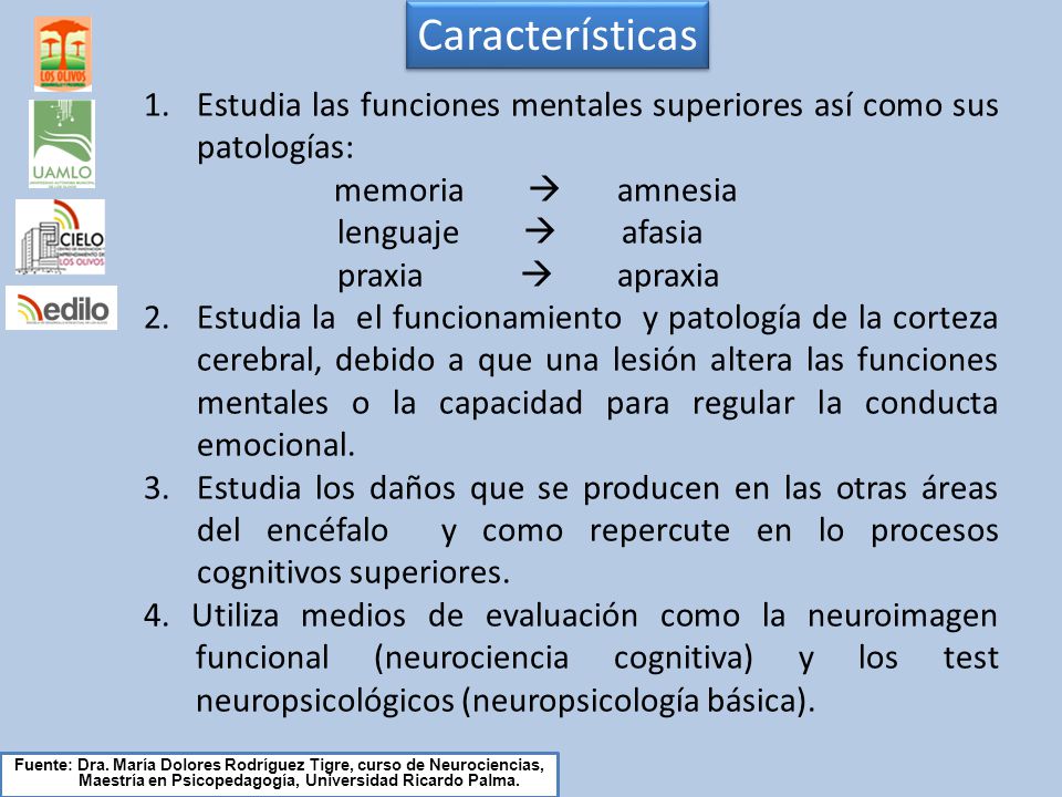 Características Estudia las funciones mentales superiores así como sus patologías: memoria  amnesia.