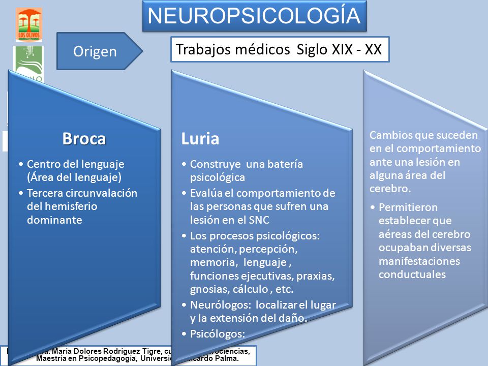 NEUROPSICOLOGÍA Luria Broca Origen Trabajos médicos Siglo XIX - XX