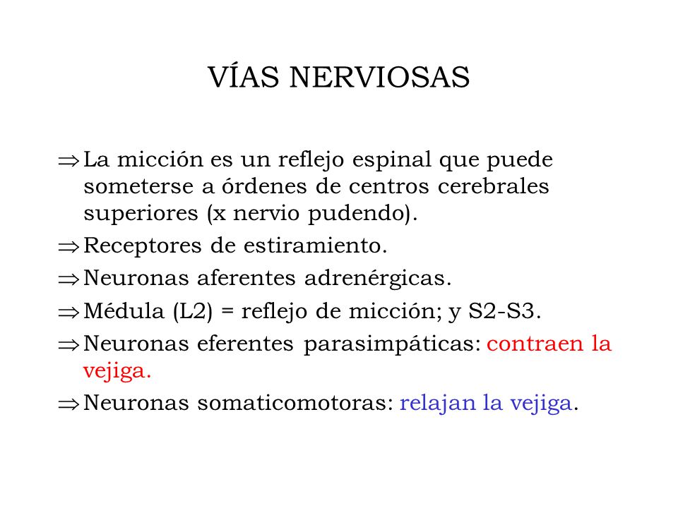 VÍAS NERVIOSAS La micción es un reflejo espinal que puede someterse a órdenes de centros cerebrales superiores (x nervio pudendo).