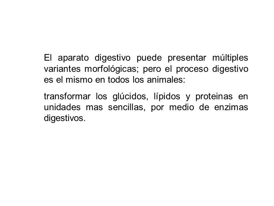 El aparato digestivo puede presentar múltiples variantes morfológicas; pero el proceso digestivo es el mismo en todos los animales: