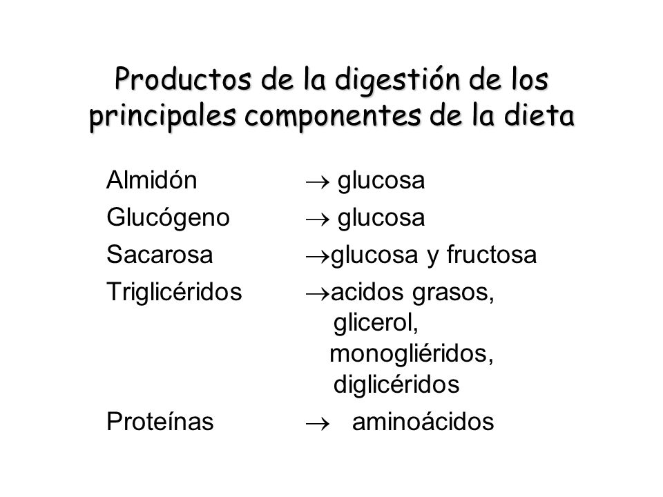 Productos de la digestión de los principales componentes de la dieta