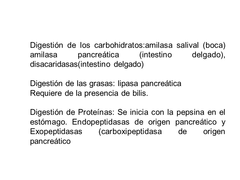 Digestión de los carbohidratos:amilasa salival (boca) amilasa pancreática (intestino delgado), disacaridasas(intestino delgado)