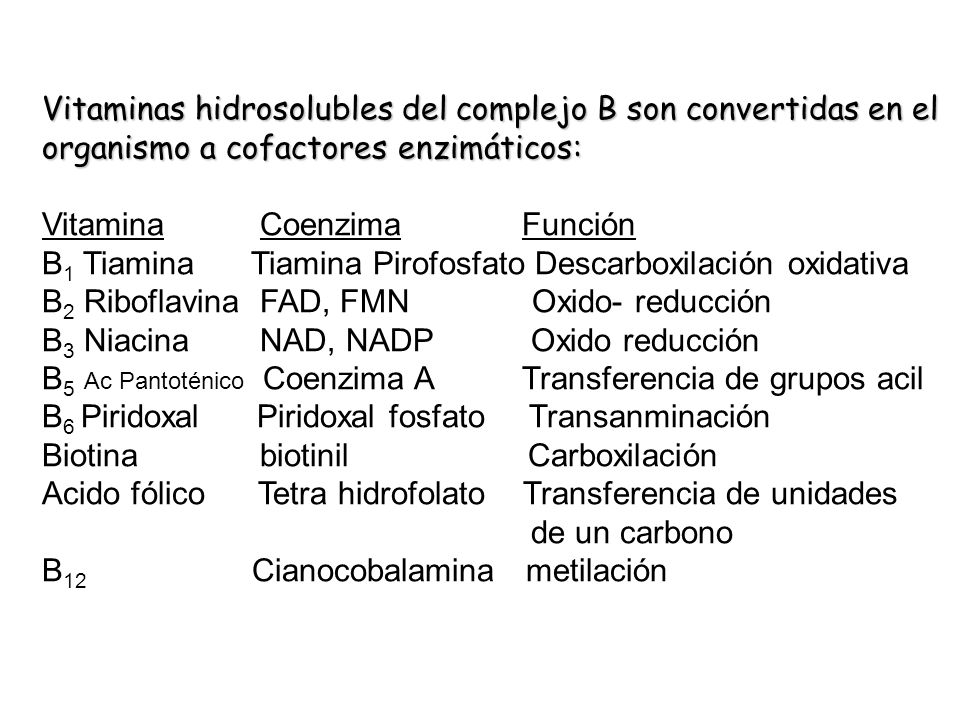 Vitaminas hidrosolubles del complejo B son convertidas en el organismo a cofactores enzimáticos: