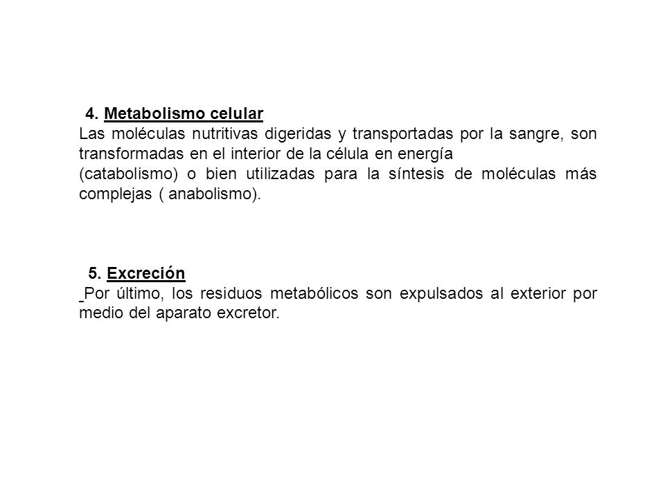 4. Metabolismo celular Las moléculas nutritivas digeridas y transportadas por la sangre, son transformadas en el interior de la célula en energía.